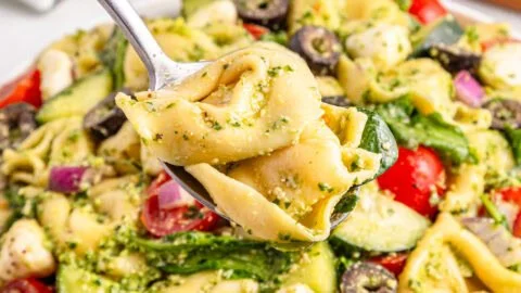 Cold tortellini pesto salad with vegetables and fresh herbs