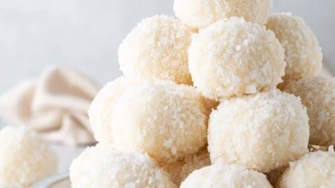 No-Bake Coconut Balls (2 Ingredients)