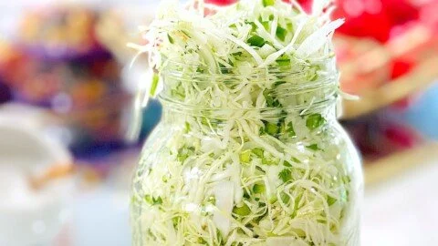 Freshly made pickled cabbage slaw with colorful cabbage and spices